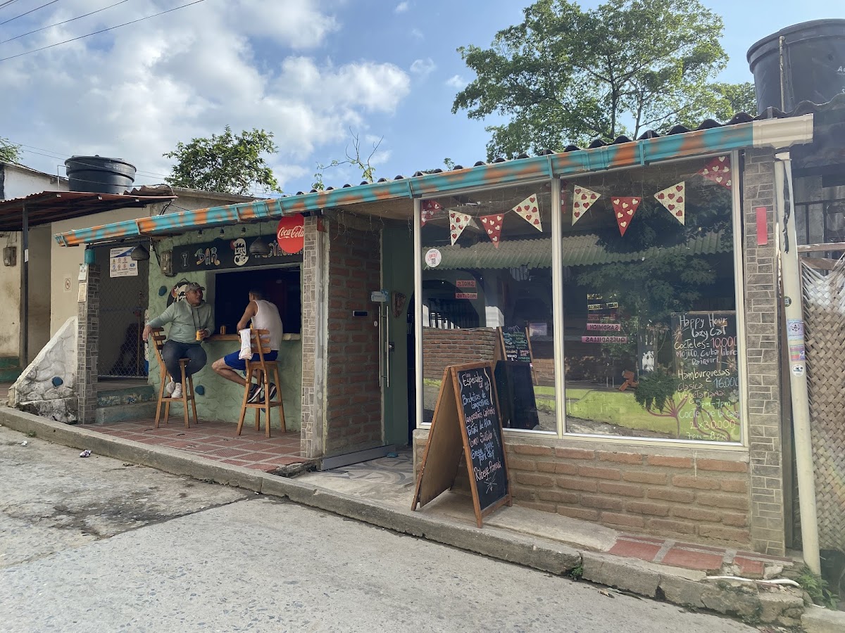 The Lazy Cat - Magdalena