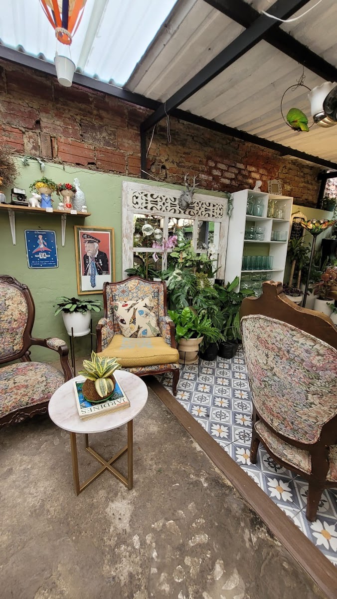 CASA Y JARDÍN VIVERO CAFÉ