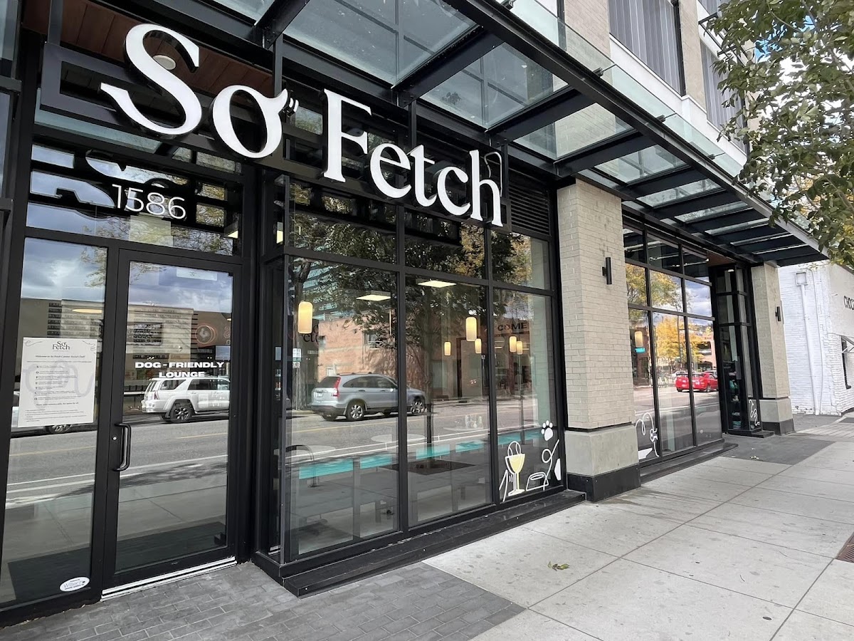 So Fetch Canine Social Club