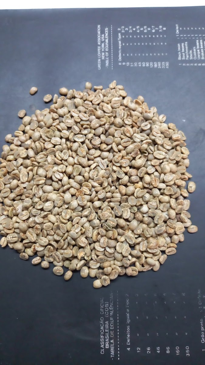 Coffee Plaza Com. Exp. De cafés