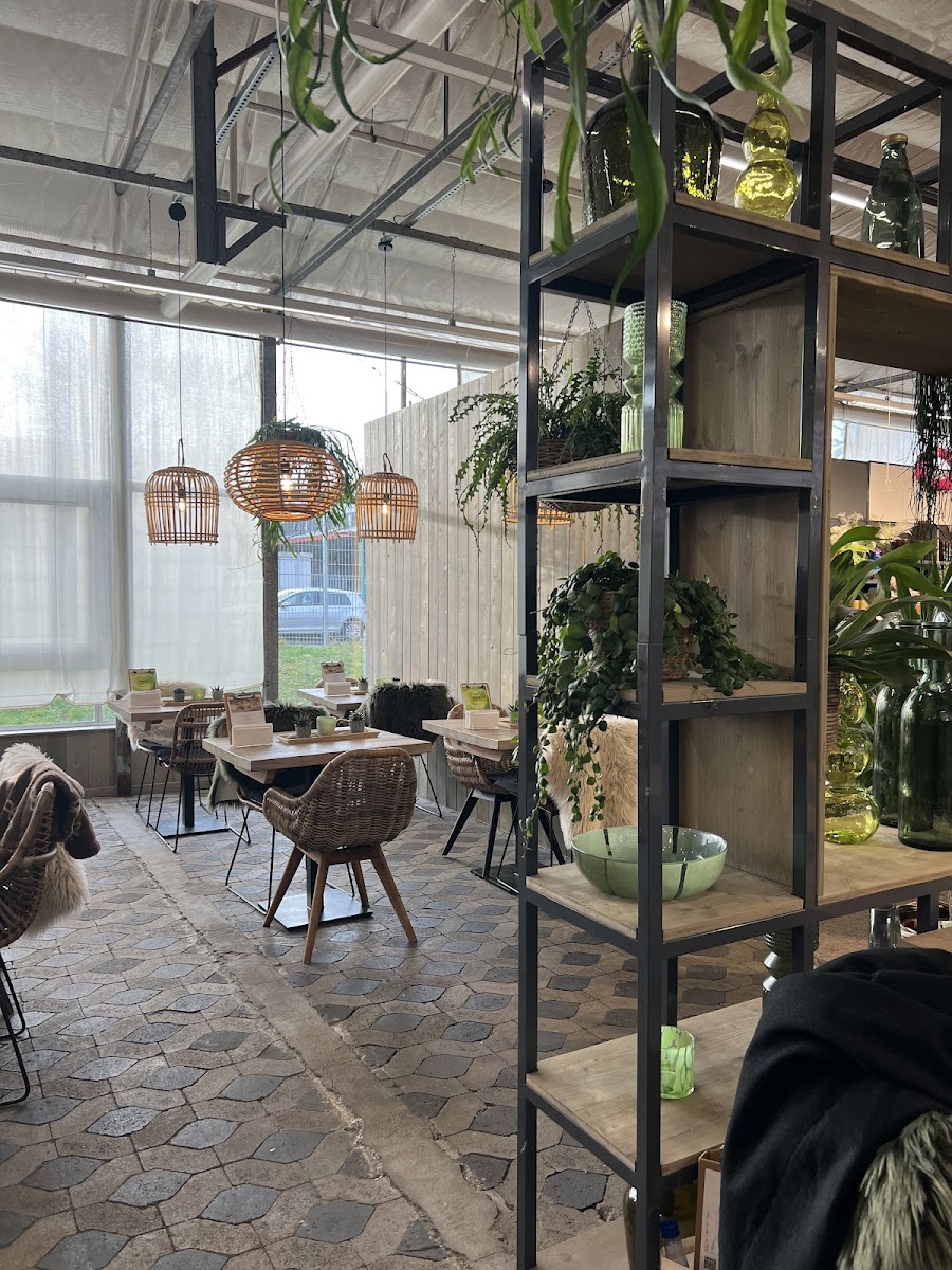 Konditorei Cafe Wiacker