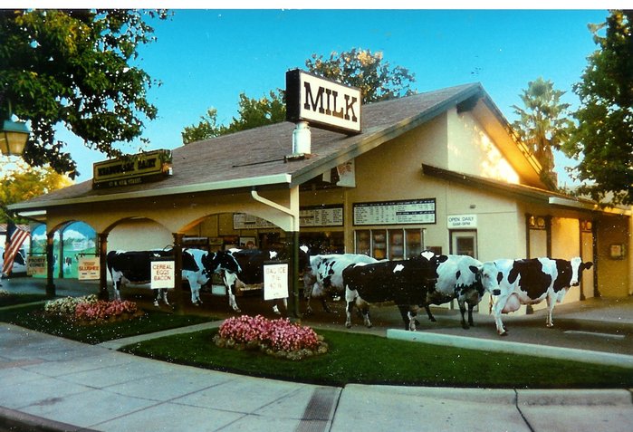 Meadowlark Dairy