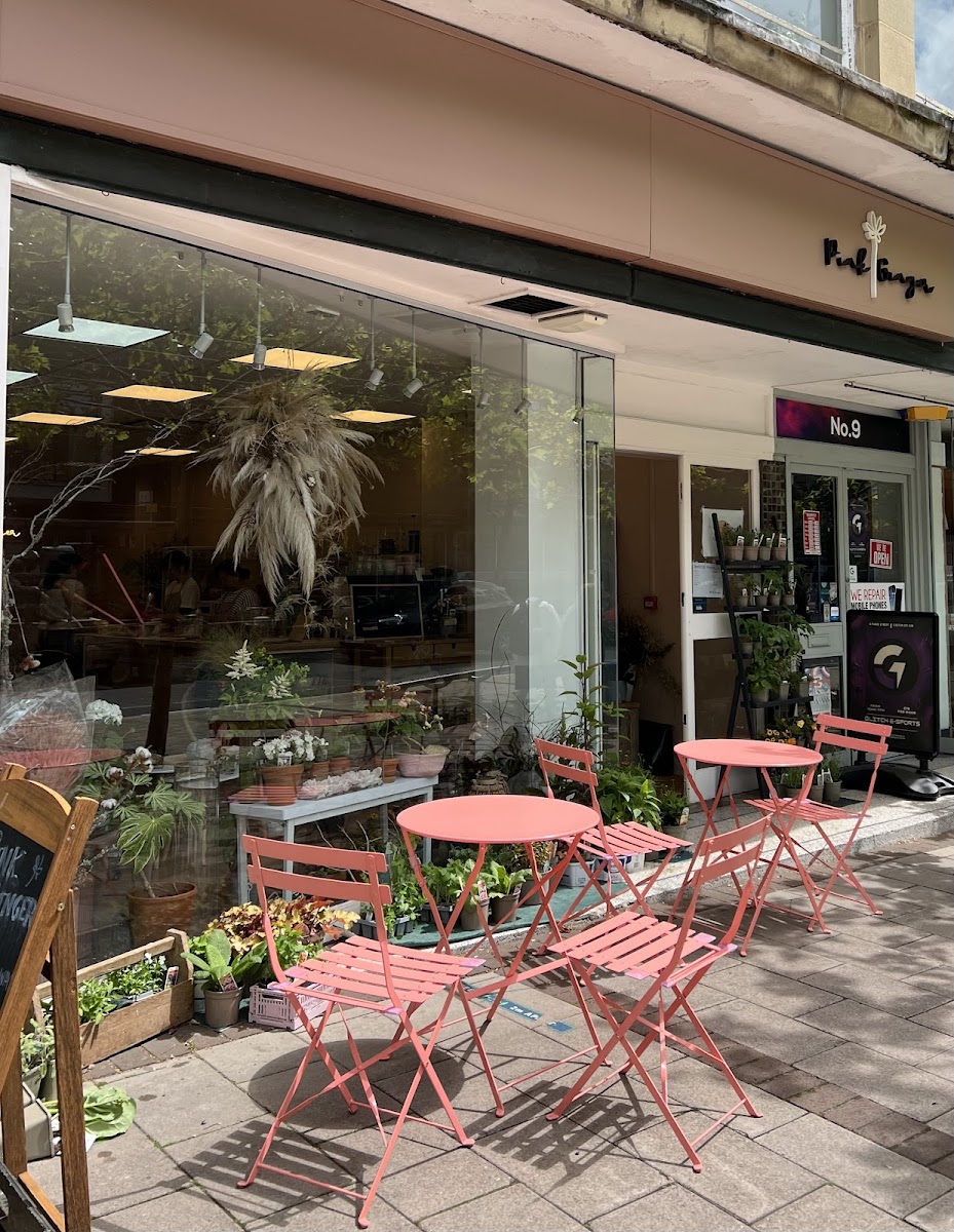 Pink Ginger Flower Cafe