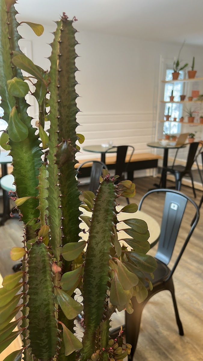 Folsom Point Provisions