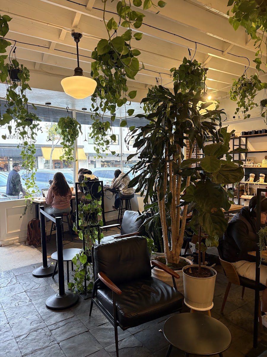 Nosy Neighbors Coffee & Donuts