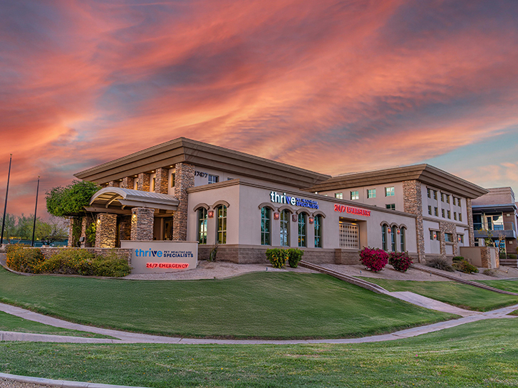 Thrive Pet Healthcare Specialists North Scottsdale