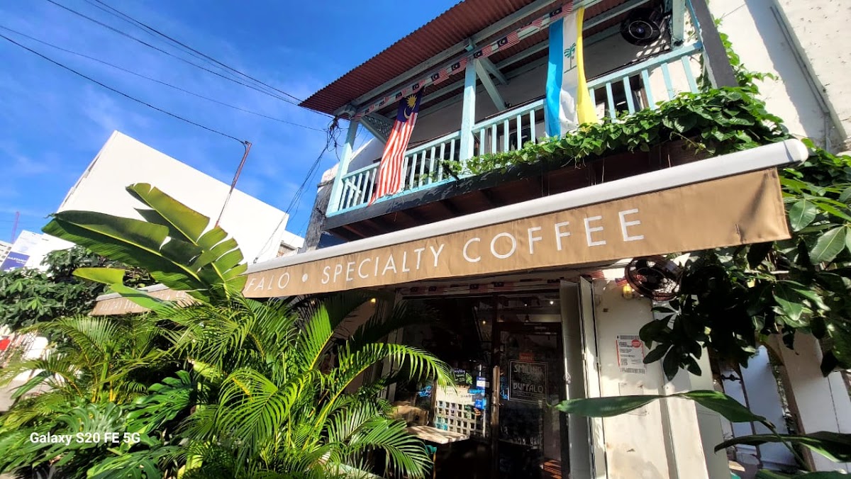 Smiling Buffalo Georgetown