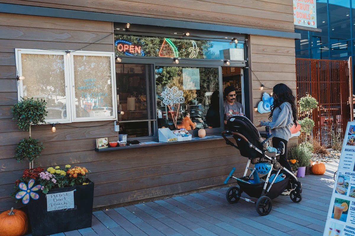 Fruitopia Fruit Bowls