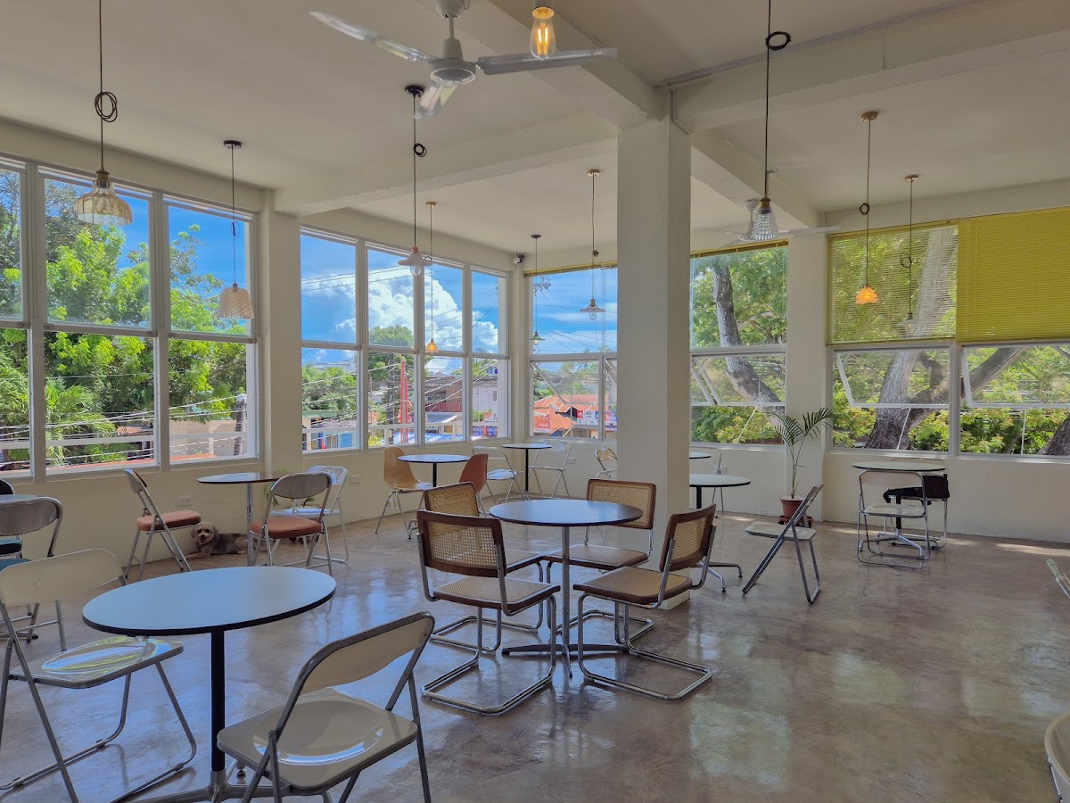 Slotide coffee club 슬로타이드 커피 클럽