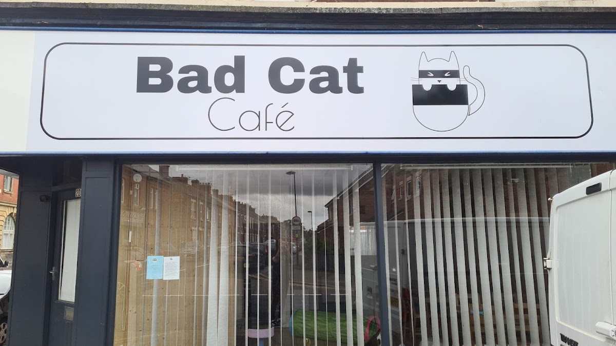 The bad cat cafe
